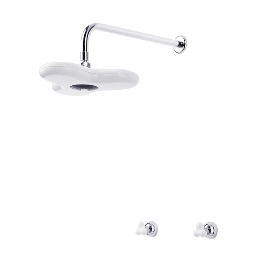Two-Handle Valve With Showerhead