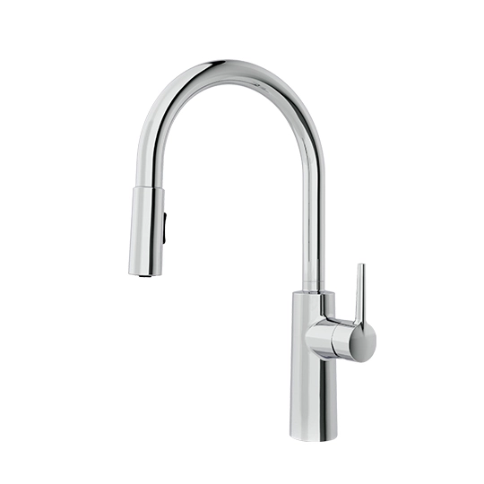 Kitchen Faucet With Pull-Out Sprayer